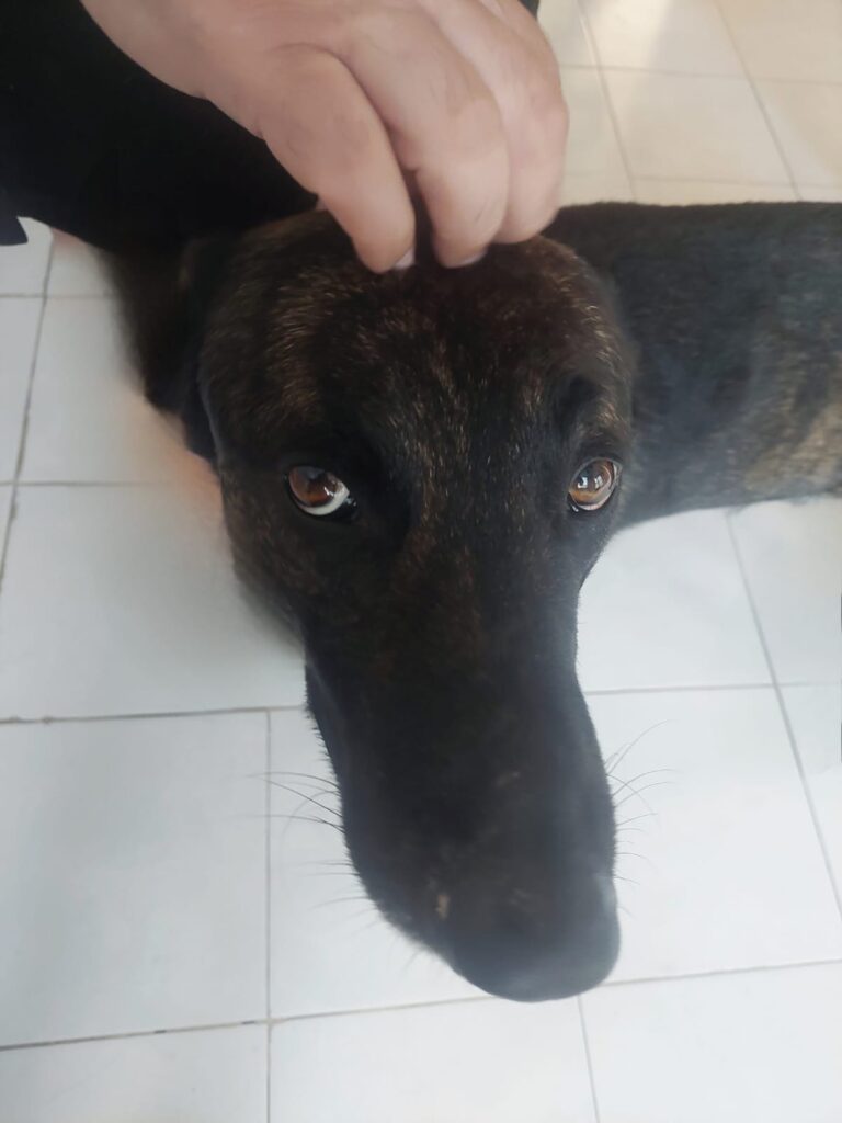 e531dc51-f76a-44a5-b38d-fa14d9a97f51