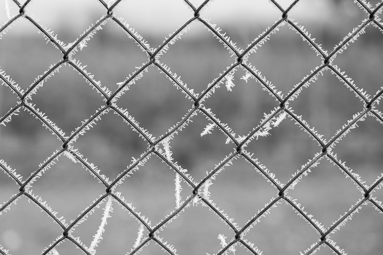 fence-8500152_1280